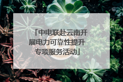 中电联赴云南开展电力可靠性提升专项服务活动