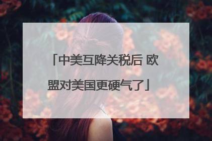 中美互降关税后 欧盟对美国更硬气了