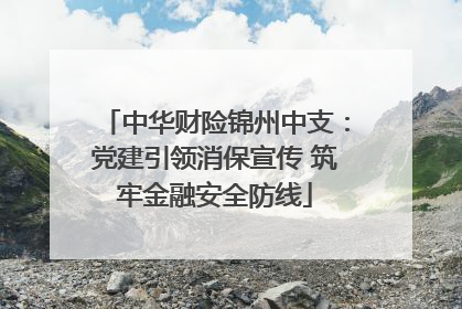 中华财险锦州中支：党建引领消保宣传 筑牢金融安全防线