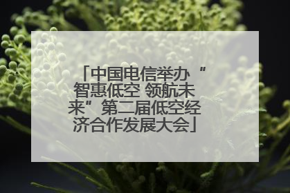中国电信举办“智惠低空 领航未来”第二届低空经济合作发展大会