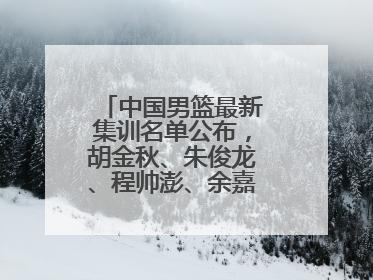 中国男篮最新集训名单公布，胡金秋、朱俊龙、程帅澎、余嘉豪再次入选