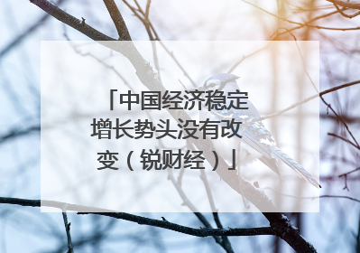 中国经济稳定增长势头没有改变（锐财经）