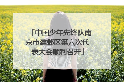 中国少年先锋队南京市建邺区第六次代表大会顺利召开