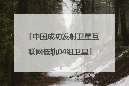中国成功发射卫星互联网低轨04组卫星