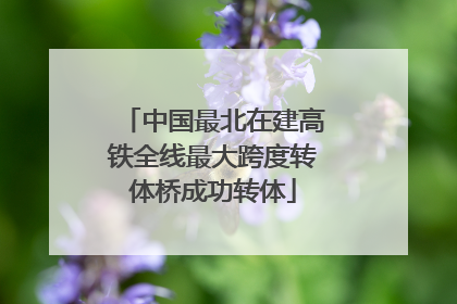 中国最北在建高铁全线最大跨度转体桥成功转体