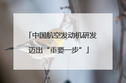 中国航空发动机研发迈出“重要一步”