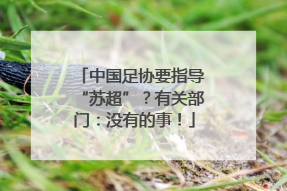 中国足协要指导“苏超”？有关部门：没有的事！