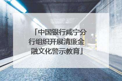 中国银行咸宁分行组织开展清廉金融文化警示教育