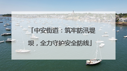 中安街道：筑牢防汛堤坝，全力守护安全防线