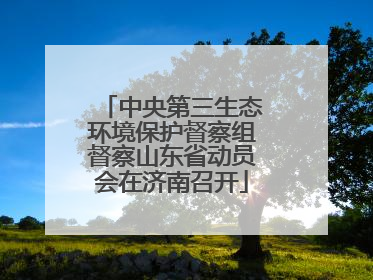 中央第三生态环境保护督察组督察山东省动员会在济南召开
