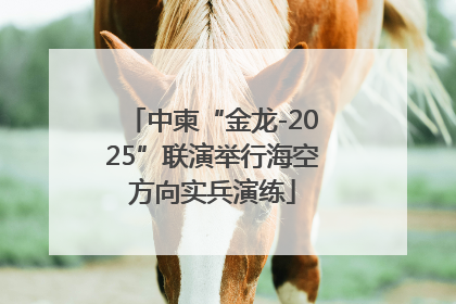 中柬“金龙-2025”联演举行海空方向实兵演练