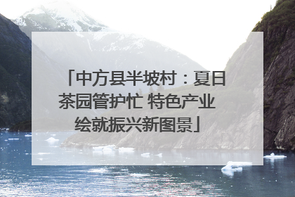 中方县半坡村：夏日茶园管护忙 特色产业绘就振兴新图景