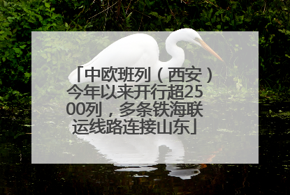 中欧班列（西安）今年以来开行超2500列，多条铁海联运线路连接山东