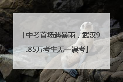 中考首场遇暴雨，武汉9.85万考生无一误考