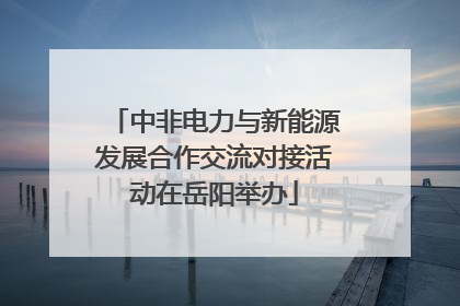 中非电力与新能源发展合作交流对接活动在岳阳举办