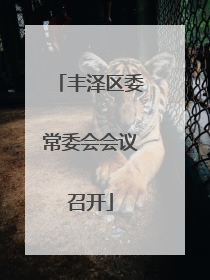丰泽区委常委会会议召开