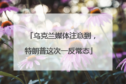 乌克兰媒体注意到，特朗普这次一反常态