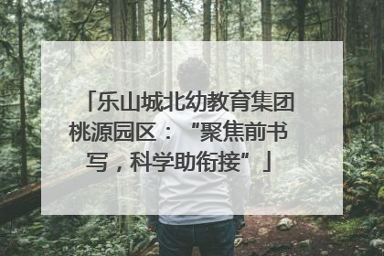 乐山城北幼教育集团桃源园区：“聚焦前书写，科学助衔接”