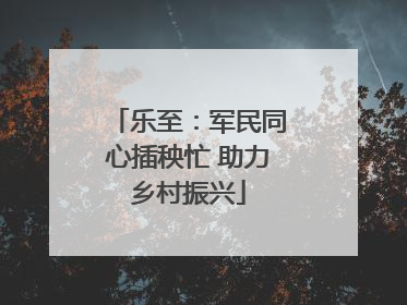 乐至：军民同心插秧忙 助力乡村振兴