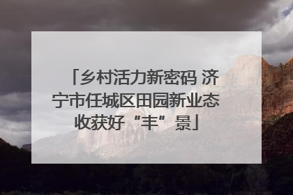 乡村活力新密码 济宁市任城区田园新业态收获好“丰”景