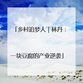 乡村追梦人｜林丹：一块豆腐的产业逆袭