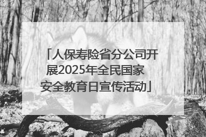 人保寿险省分公司开展2025年全民国家安全教育日宣传活动