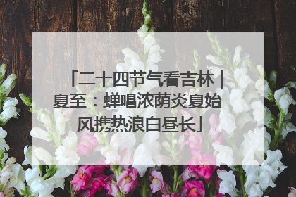 二十四节气看吉林｜夏至：蝉唱浓荫炎夏始 风携热浪白昼长