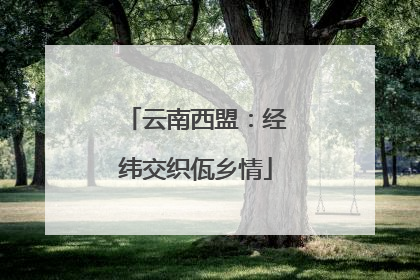 云南西盟：经纬交织佤乡情