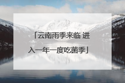 云南雨季来临 进入一年一度吃菌季