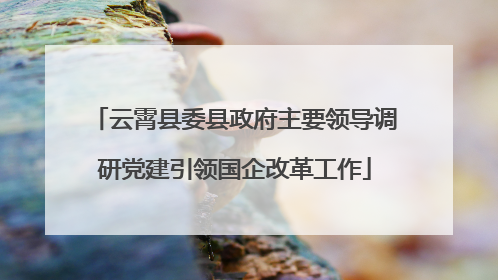 云霄县委县政府主要领导调研党建引领国企改革工作