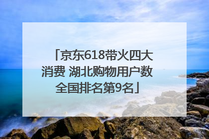 京东618带火四大消费 湖北购物用户数全国排名第9名
