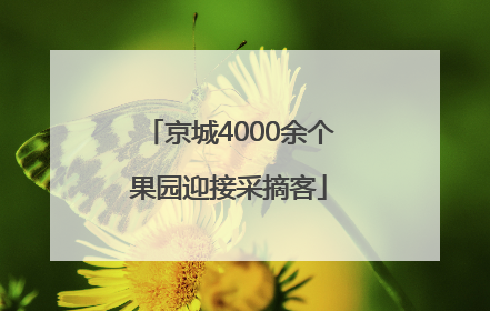京城4000余个果园迎接采摘客