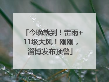 今晚就到！雷雨+11级大风！刚刚，淄博发布预警