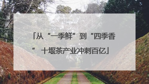 从“一季鲜”到“四季香” 十堰茶产业冲刺百亿