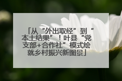 从“外出取经”到“本土结果”！叶县“党支部+合作社”模式绘就乡村振兴新图景