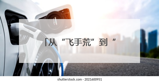 从“飞手荒”到“新农人” 激活乡村振兴“新引擎”