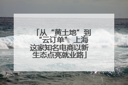 从“黄土地”到“云订单” 上海这家知名电商以新生态点亮就业路