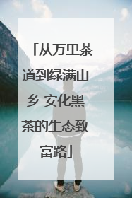 从万里茶道到绿满山乡 安化黑茶的生态致富路