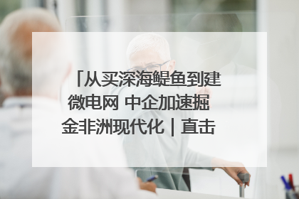 从买深海鳀鱼到建微电网 中企加速掘金非洲现代化｜直击中非经贸博览会