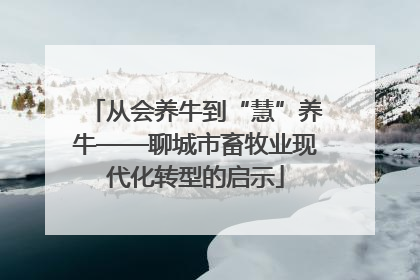 从会养牛到“慧”养牛——聊城市畜牧业现代化转型的启示
