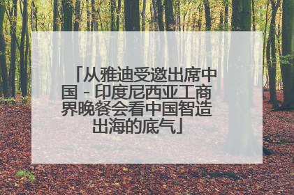 从雅迪受邀出席中国－印度尼西亚工商界晚餐会看中国智造出海的底气