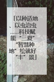以种适地、以虫治虫……科技赋能“三夏” “智慧种地”绘就好“丰”景
