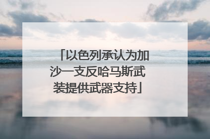 以色列承认为加沙一支反哈马斯武装提供武器支持