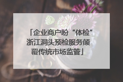 企业商户盼“体检” 浙江洞头预检服务颠覆传统市场监管