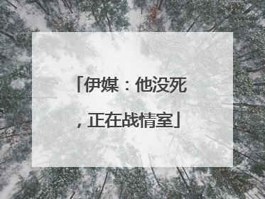 伊媒：他没死，正在战情室