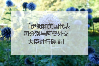 伊朗和美国代表团分别与阿曼外交大臣进行磋商