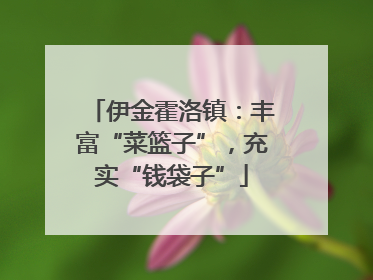 伊金霍洛镇：丰富“菜篮子”，充实“钱袋子”