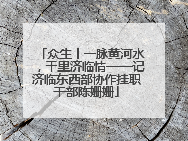 众生丨一脉黄河水，千里济临情——记济临东西部协作挂职干部陈姗姗