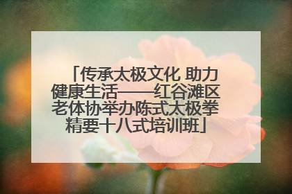 传承太极文化 助力健康生活——红谷滩区老体协举办陈式太极拳精要十八式培训班