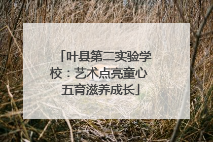 叶县第二实验学校：艺术点亮童心 五育滋养成长